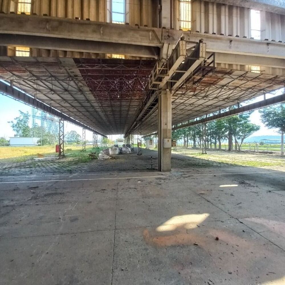 Terreno, 16 hectares - Foto 4