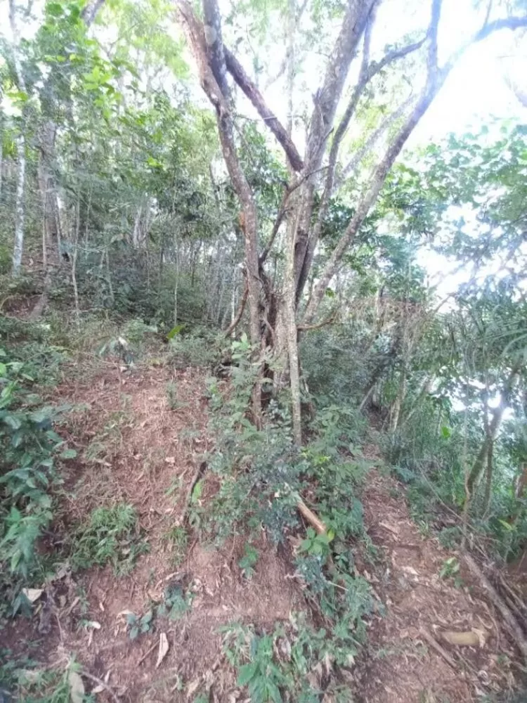 Chácara, 3 quartos, 5000 m² - Foto 48