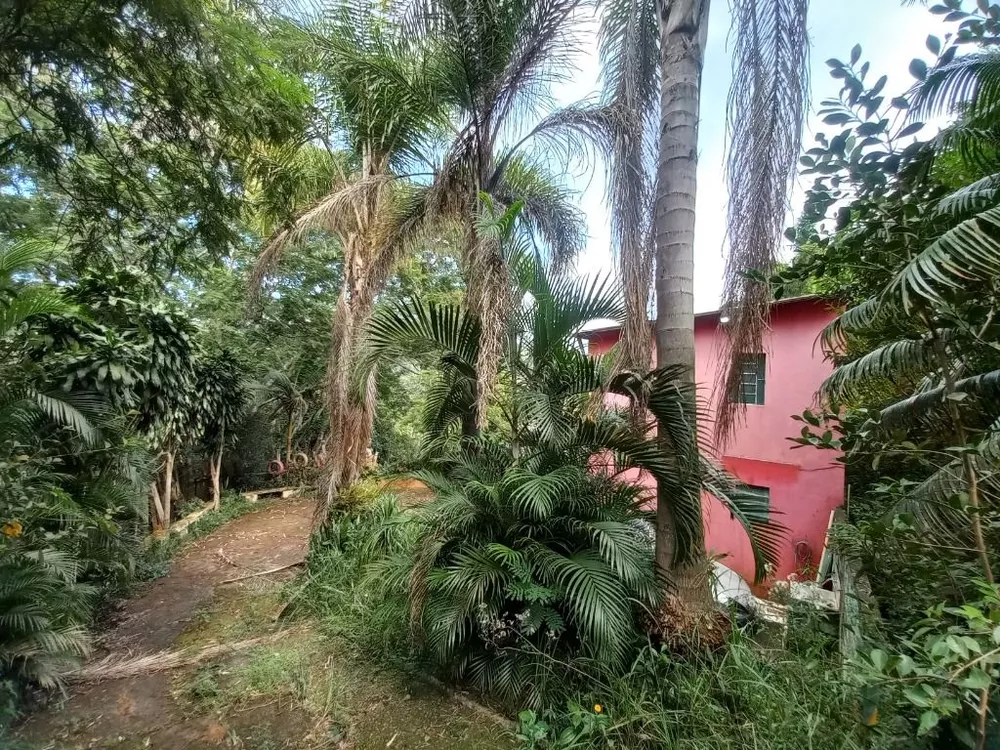 Chácara, 3 quartos, 5000 m² - Foto 6