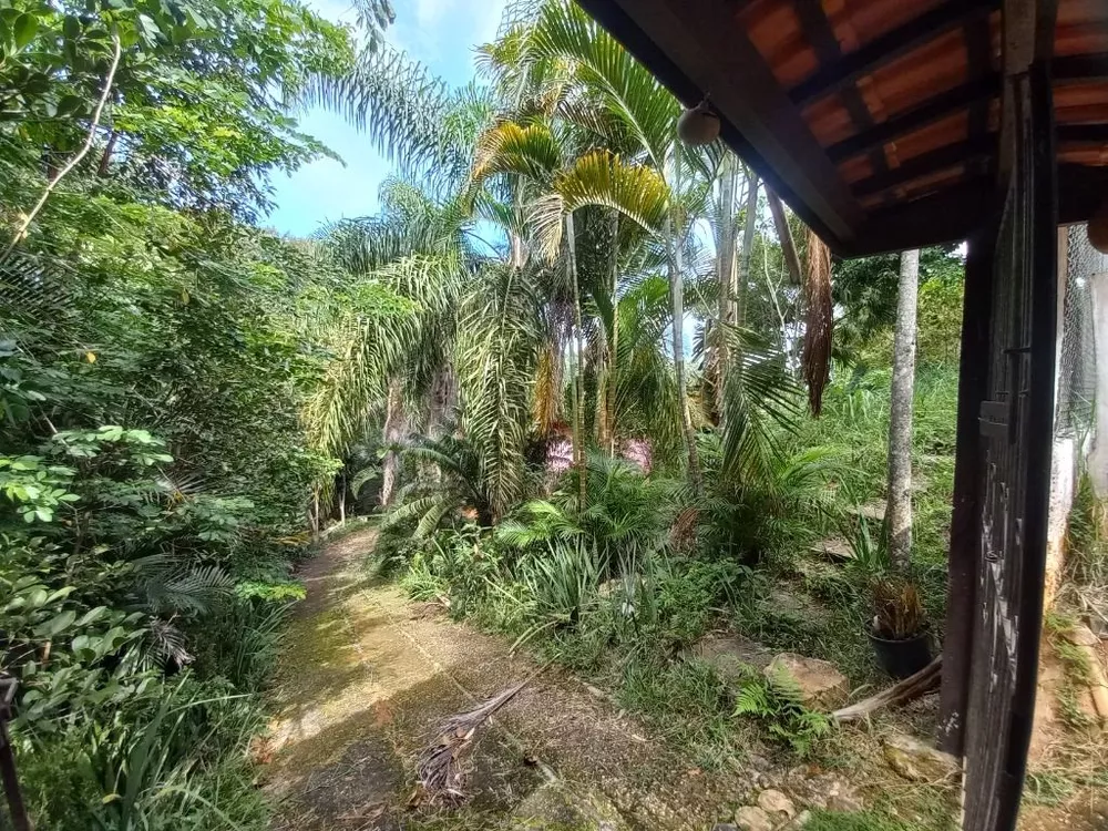 Chácara, 3 quartos, 5000 m² - Foto 5