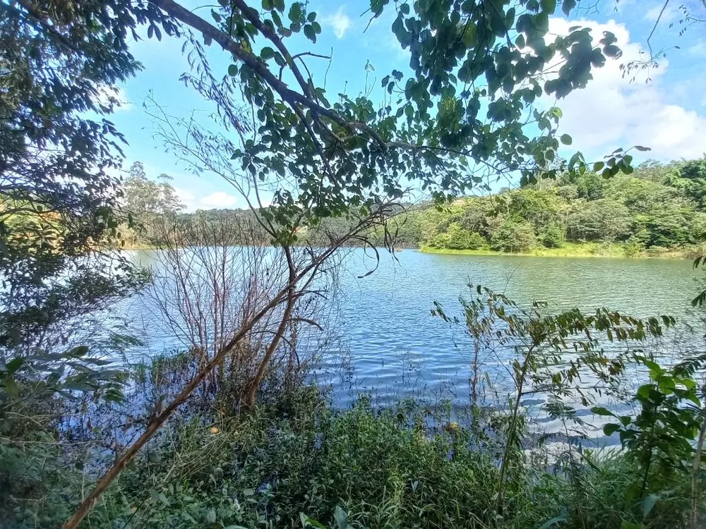 Chácara, 3 quartos, 5000 m² - Foto 54