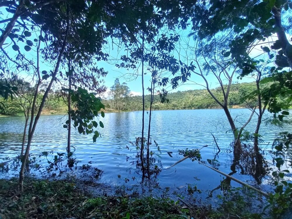Chácara à venda com 3 quartos, 5000m² - Foto 1