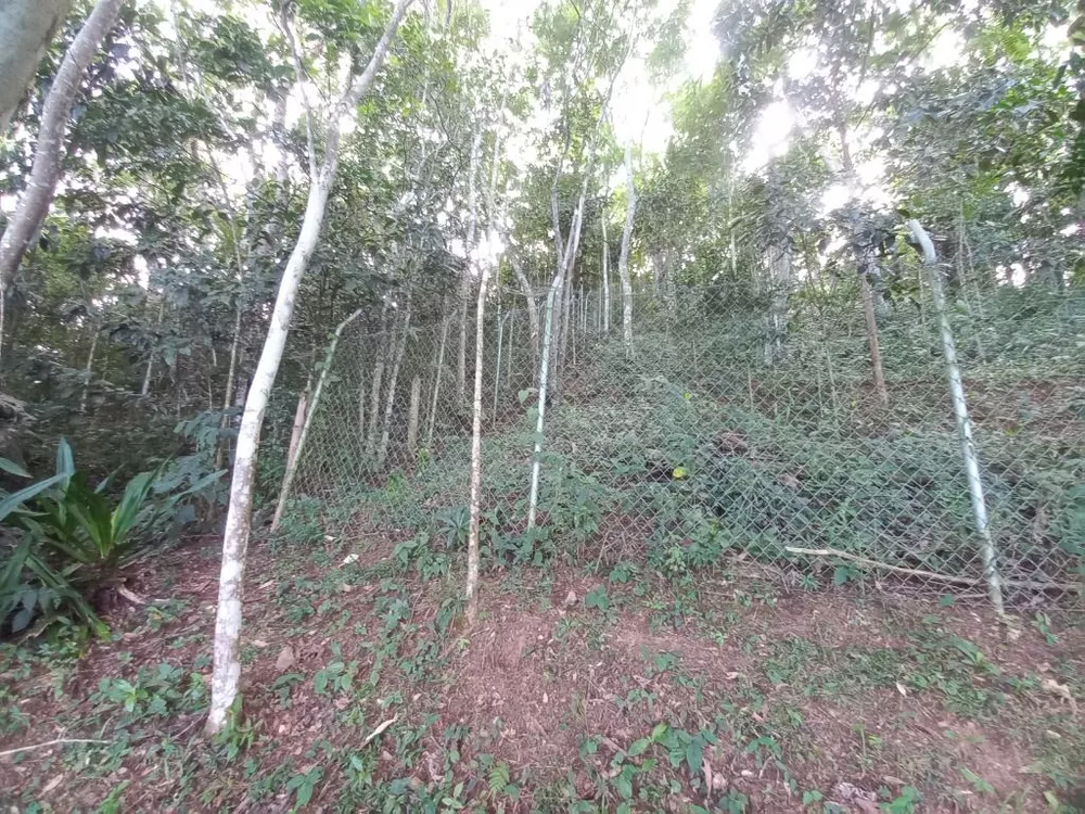 Chácara, 3 quartos, 5000 m² - Foto 58