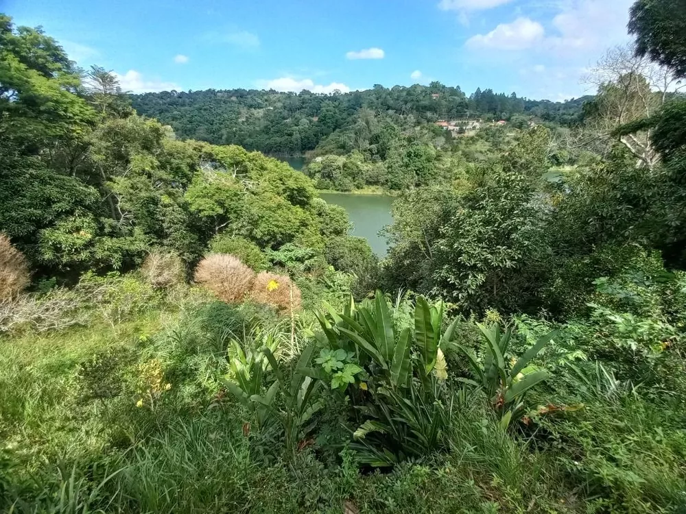 Chácara, 3 quartos, 5000 m² - Foto 23