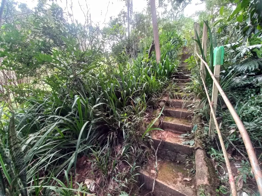 Chácara, 3 quartos, 5000 m² - Foto 60