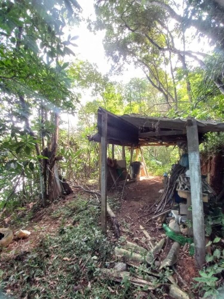 Chácara à venda com 3 quartos, 5000m² - Foto 15