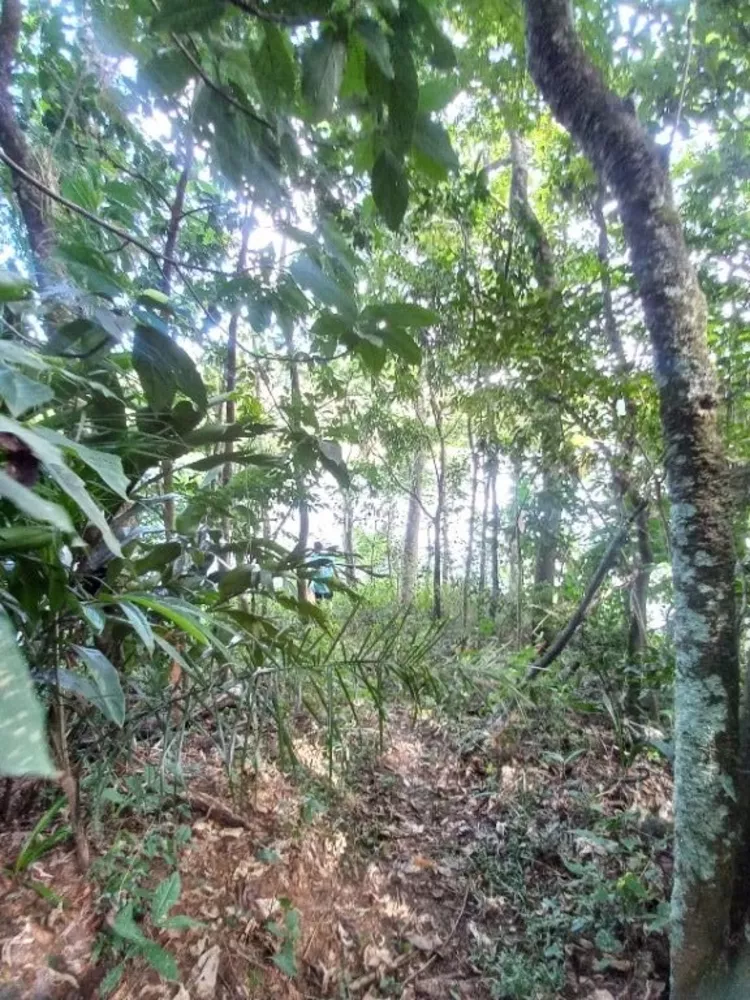 Chácara, 3 quartos, 5000 m² - Foto 50