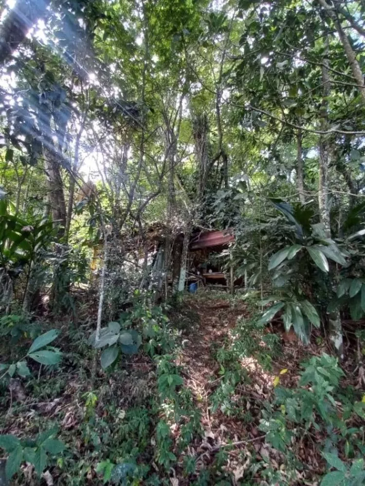 Chácara, 3 quartos, 5000 m² - Foto 51