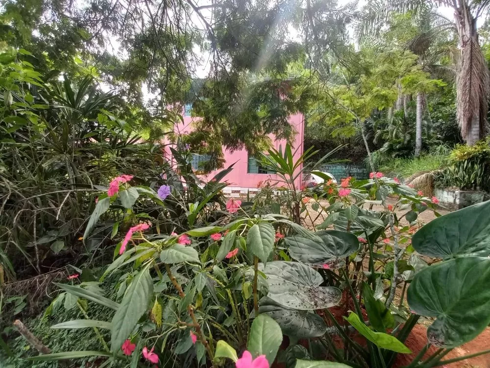 Chácara, 3 quartos, 5000 m² - Foto 61