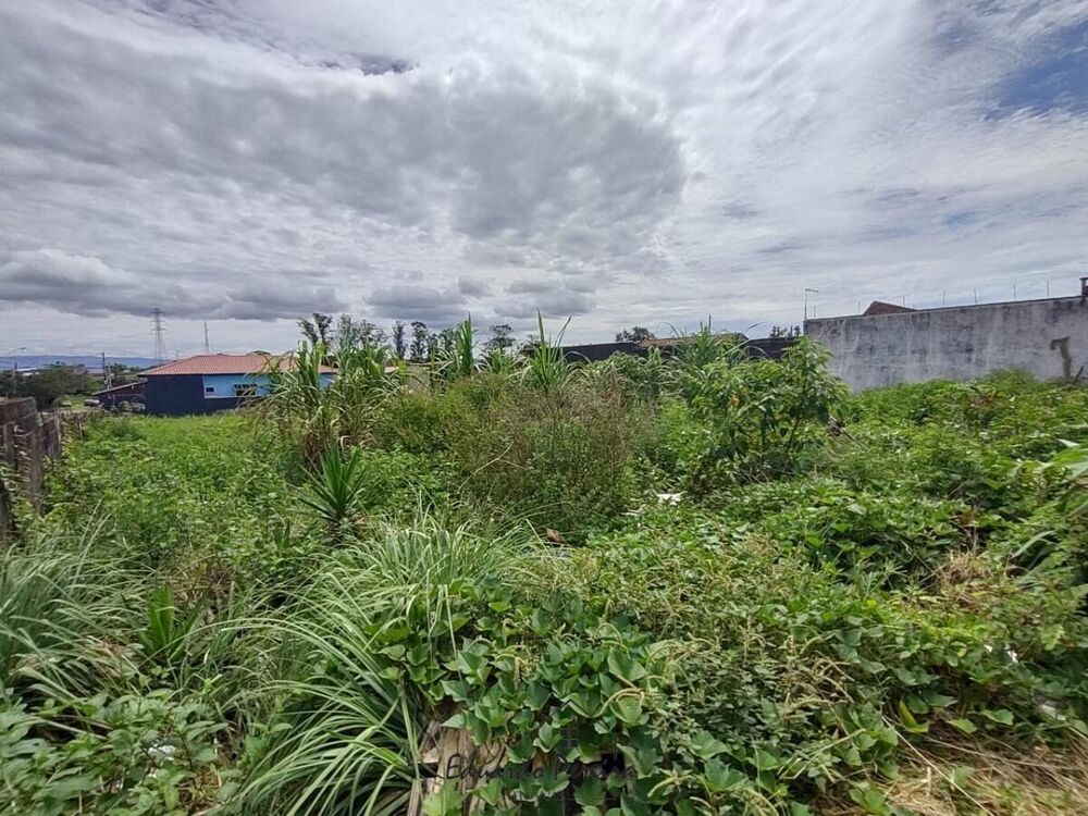 Terreno, 250 m² - Foto 1