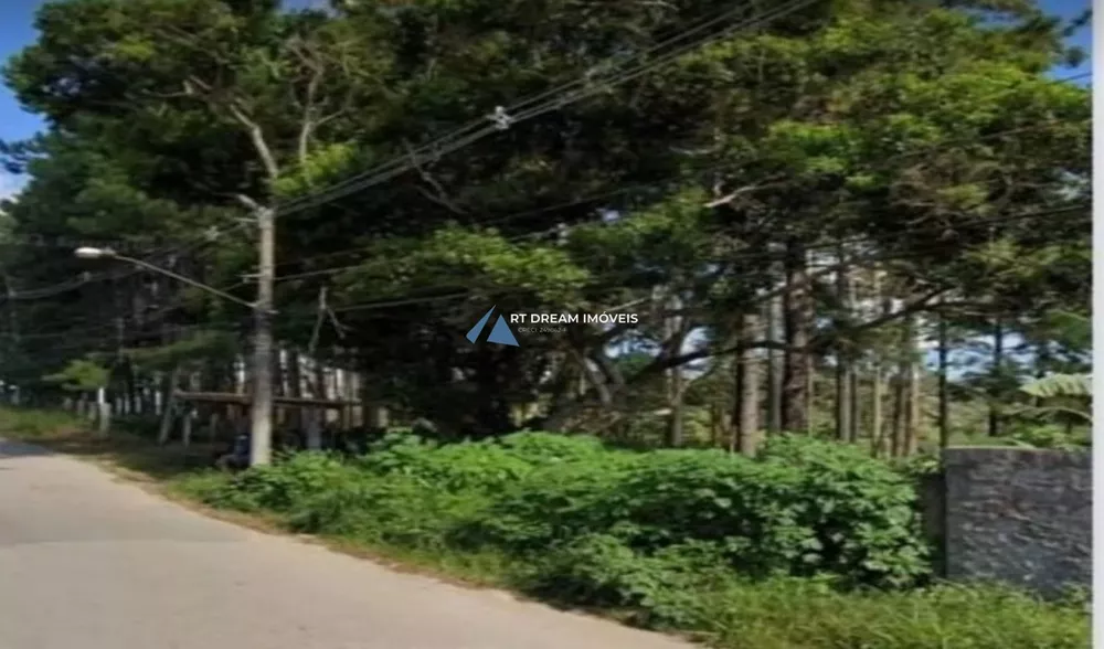 Terreno, 5 hectares - Foto 1