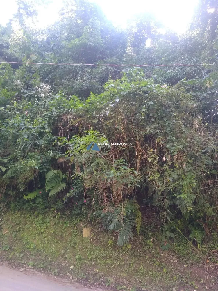 Terreno, 2301 m² - Foto 5