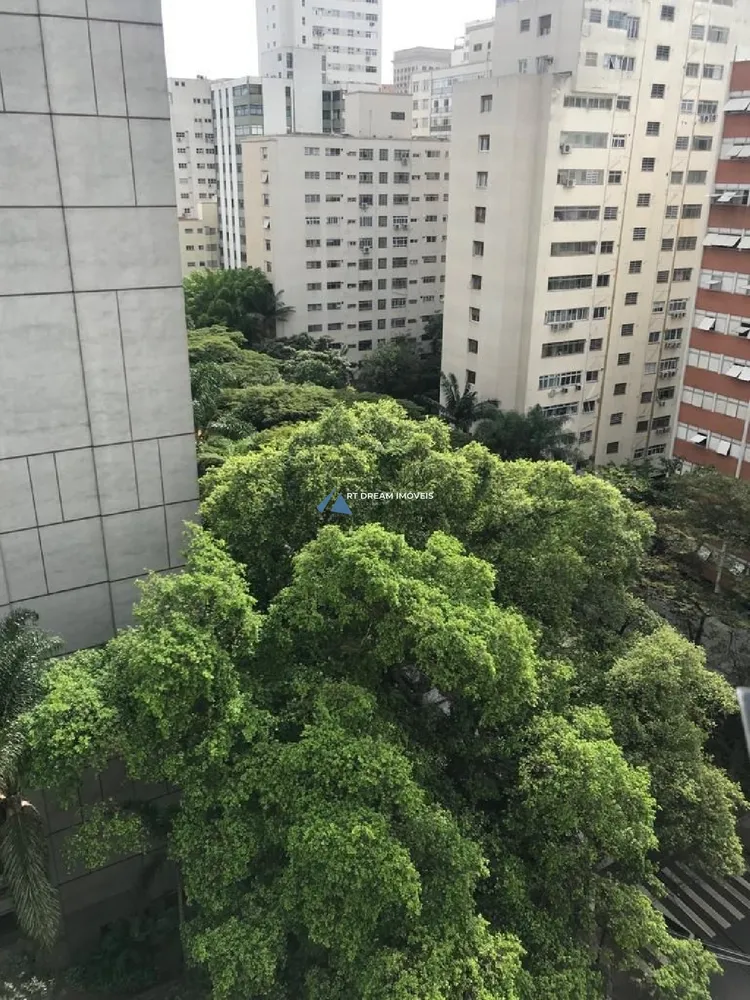 Cobertura, 1 quarto, 240 m² - Foto 6