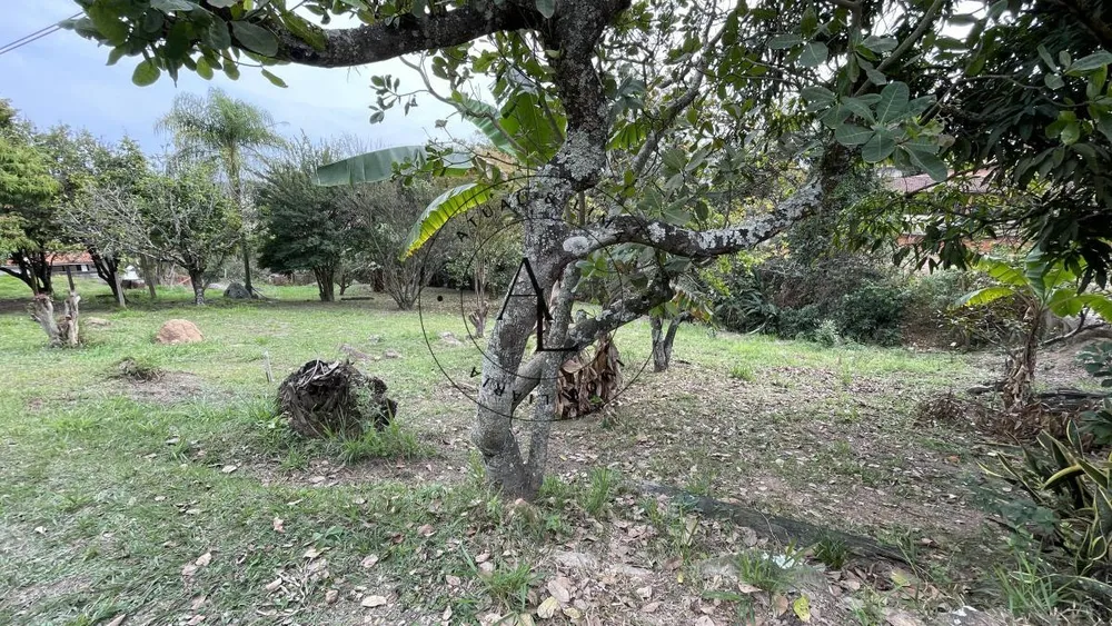 Chácara, 2 quartos - Foto 11