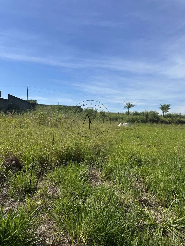 Terreno, 10000 m² - Foto 1
