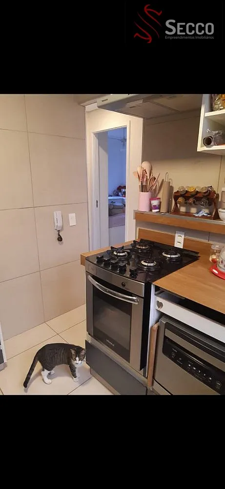 Apartamento, 2 quartos - Foto 4