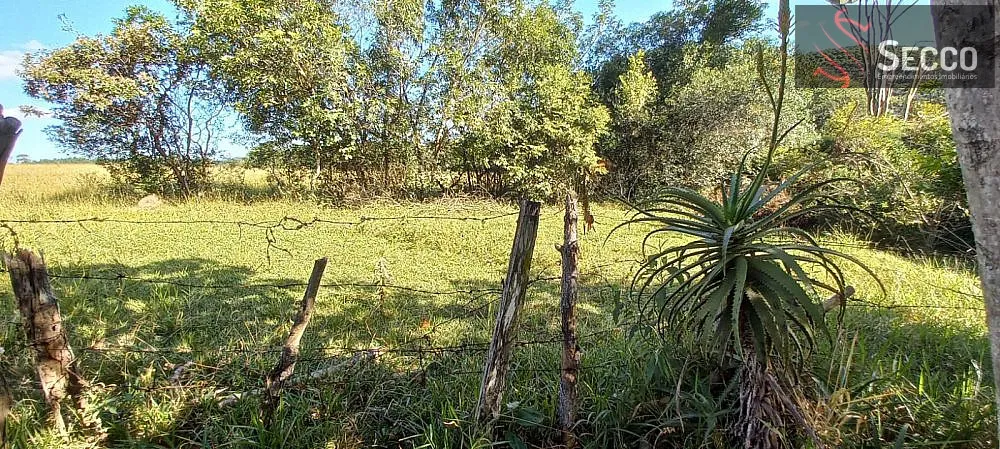Terreno, 250 m² - Foto 1