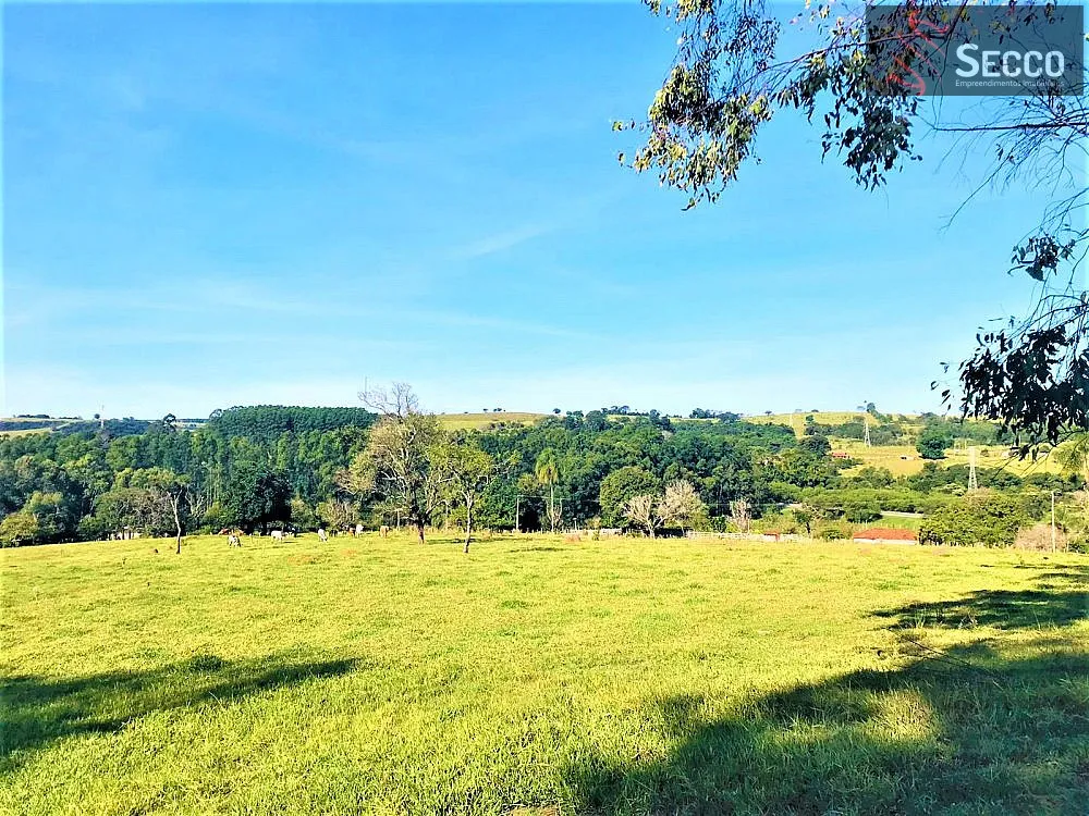 Sítio, 1 hectares - Foto 14