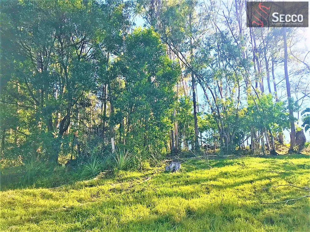 Sítio, 1 hectares - Foto 17