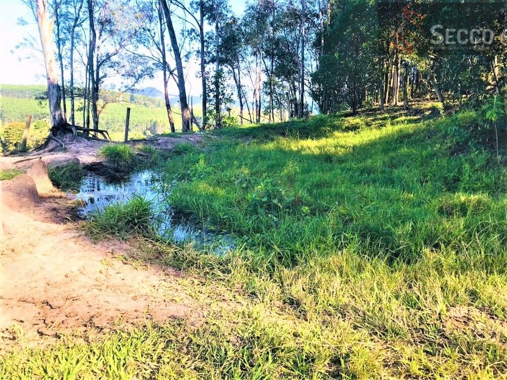 Sítio, 1 hectares - Foto 7