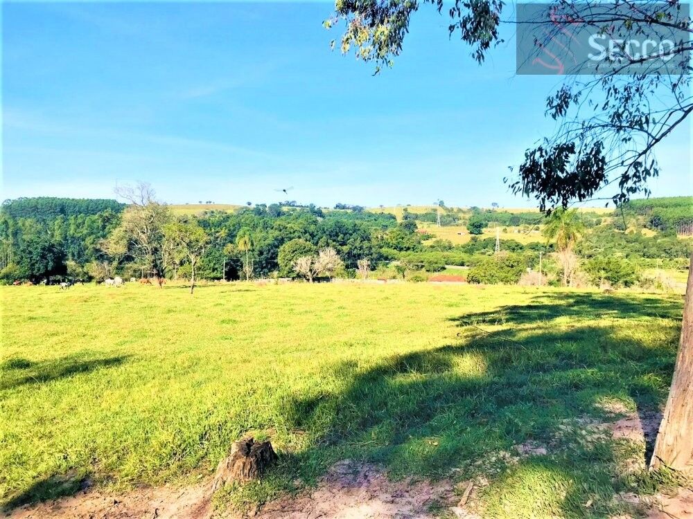 Sítio, 1 hectares - Foto 1