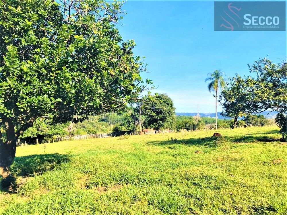 Sítio, 1 hectares - Foto 9