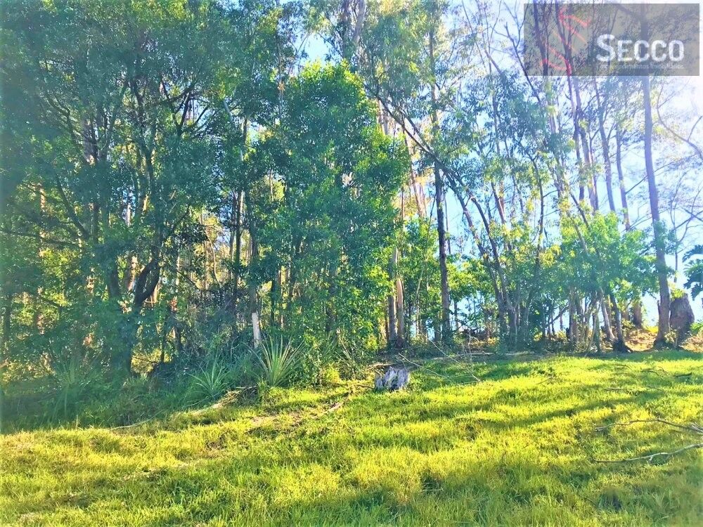 Sítio, 1 hectares - Foto 3