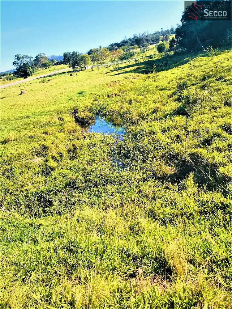 Sítio, 1 hectares - Foto 17
