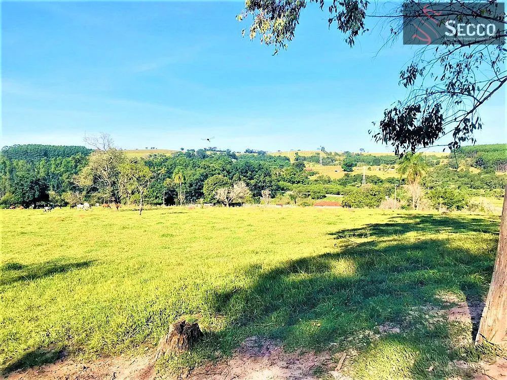 Sítio, 1 hectares - Foto 18