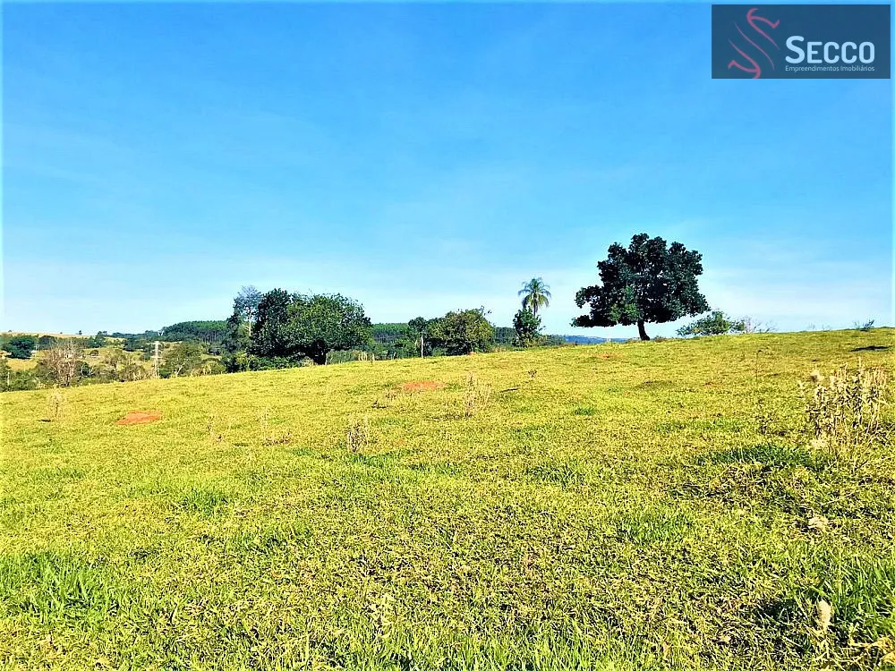 Sítio, 1 hectares - Foto 15