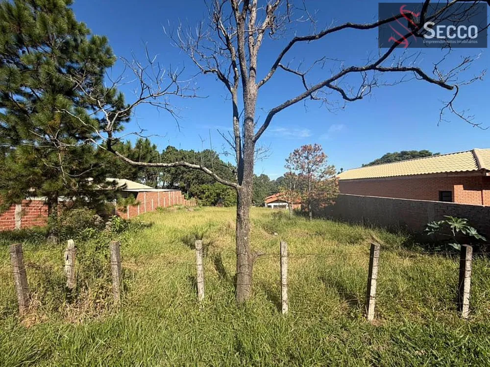 Terreno, 250 m² - Foto 4