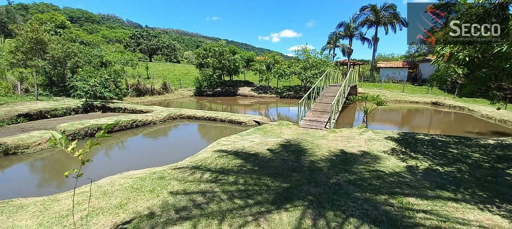 Sítio, 3 quartos, 400 m² - Foto 10