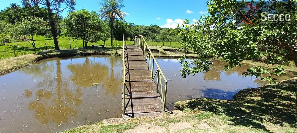 Sítio, 3 quartos, 400 m² - Foto 11
