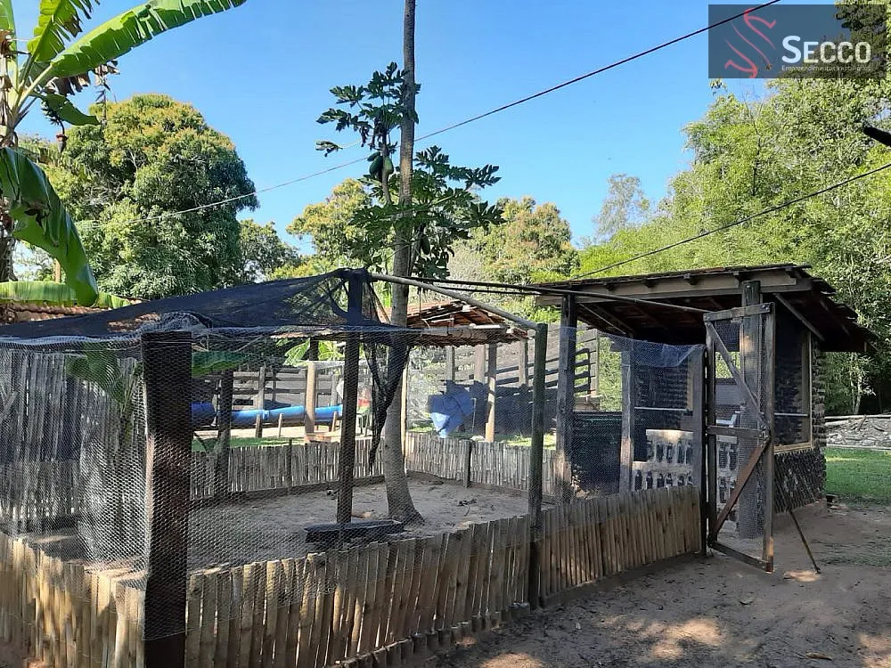 Sítio, 3 quartos, 400 m² - Foto 9