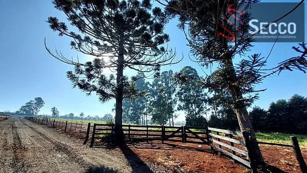 Chácara, 1 hectares - Foto 1