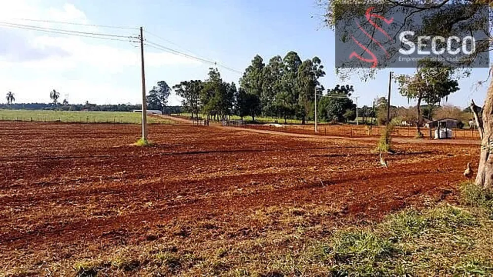 Chácara, 1 hectares - Foto 6