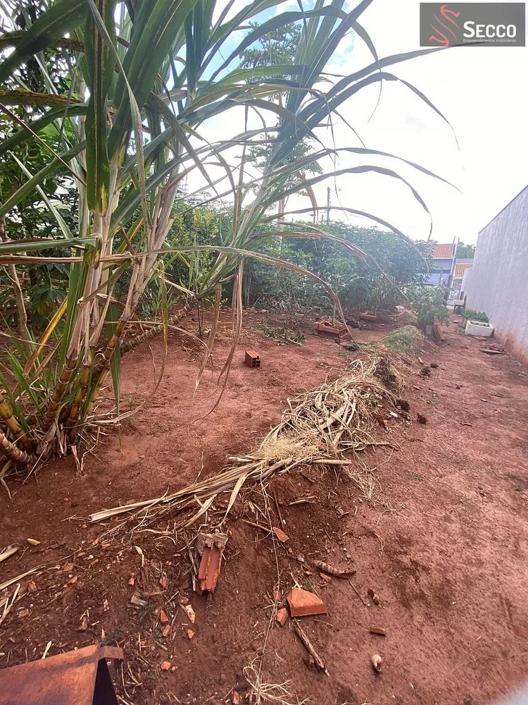 Terreno, 250 m² - Foto 2