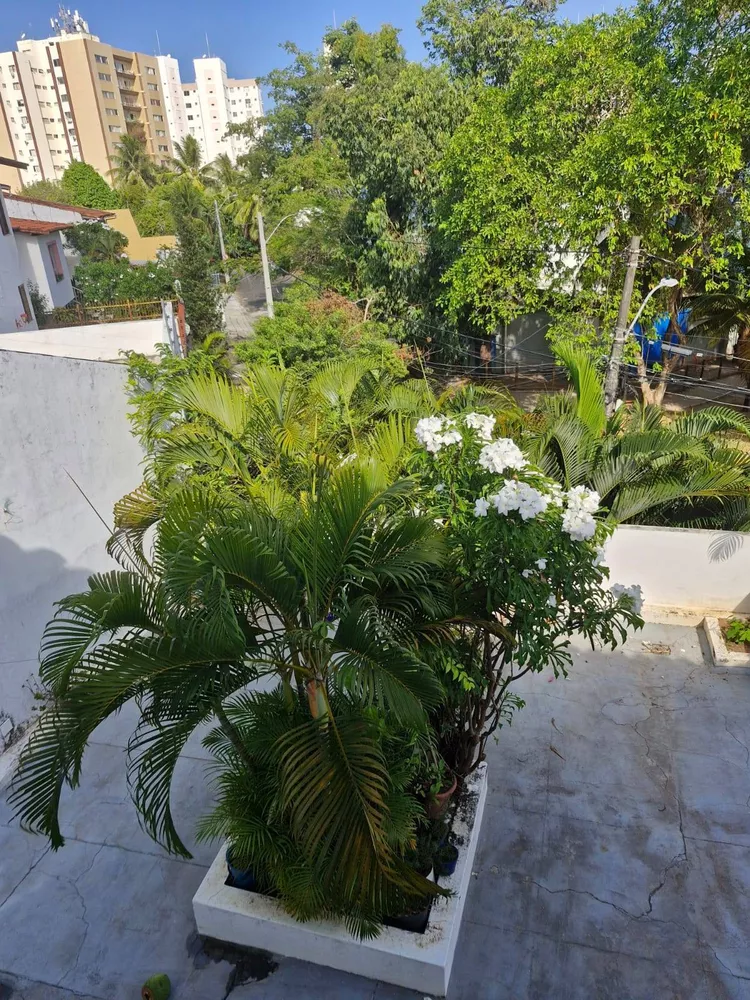 Casa, 5 quartos, 755 m² - Foto 3