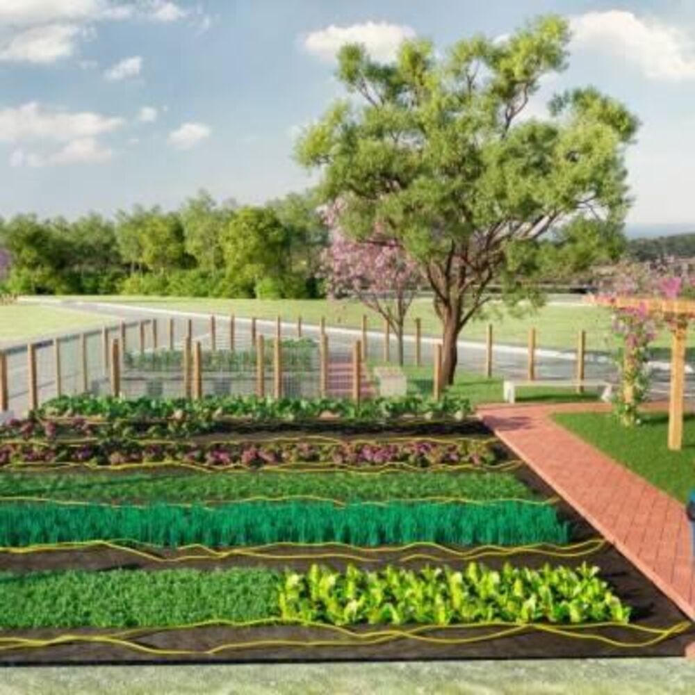 Terreno, 130 m² - Foto 6