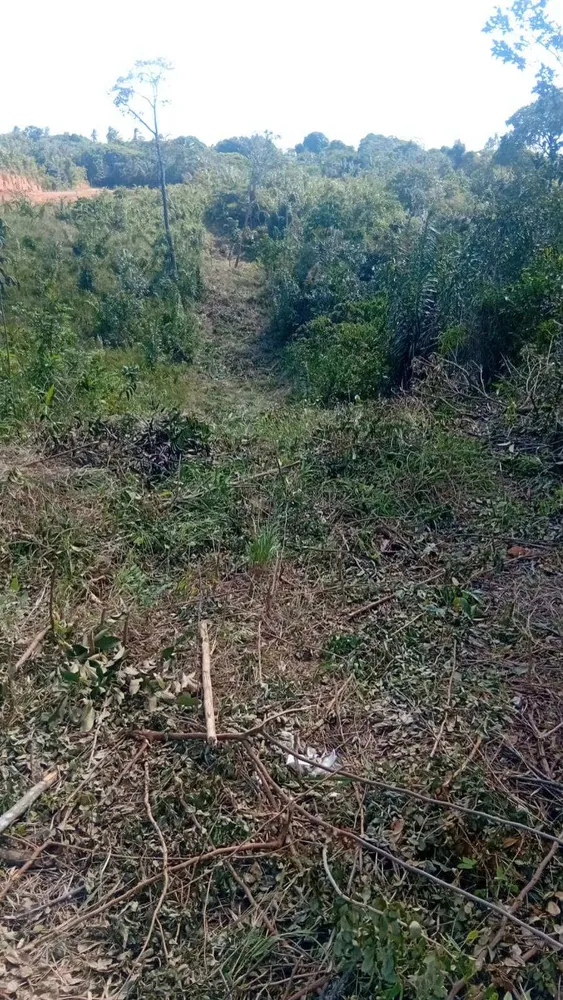 Terreno, 5000 m² - Foto 8