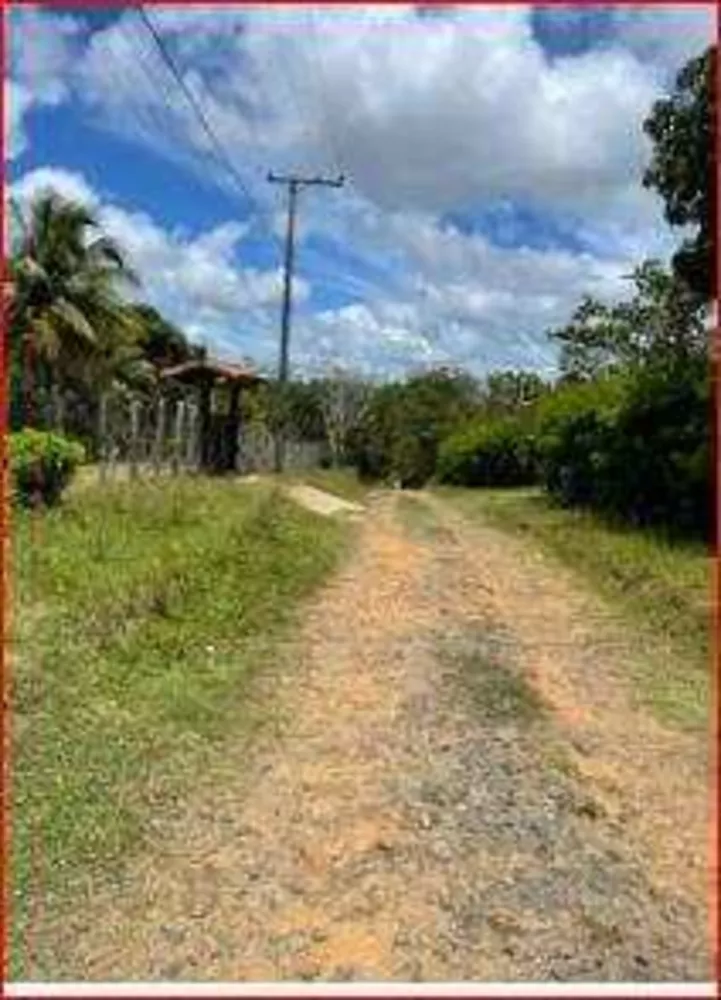 Terreno, 5000 m² - Foto 3