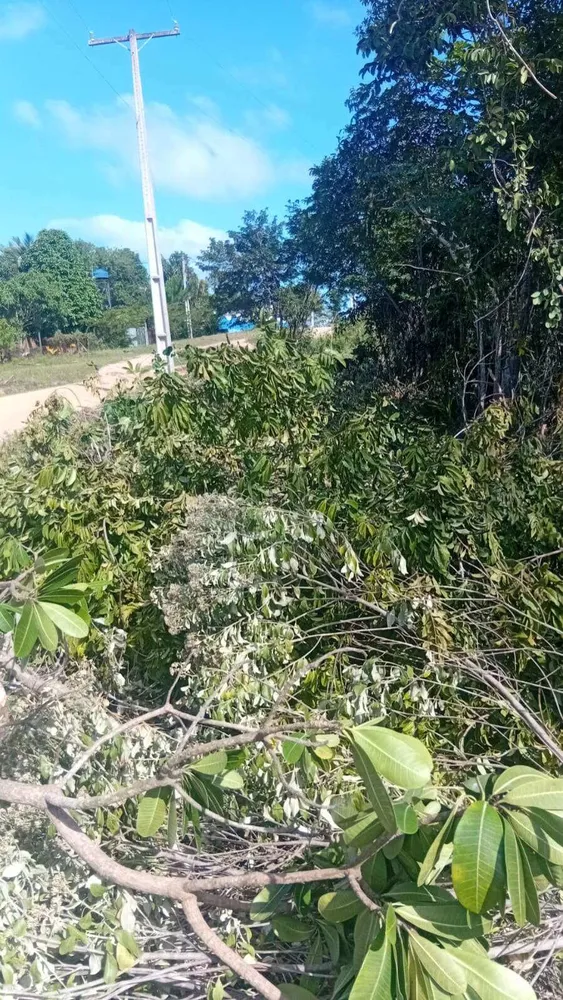Terreno, 5000 m² - Foto 9