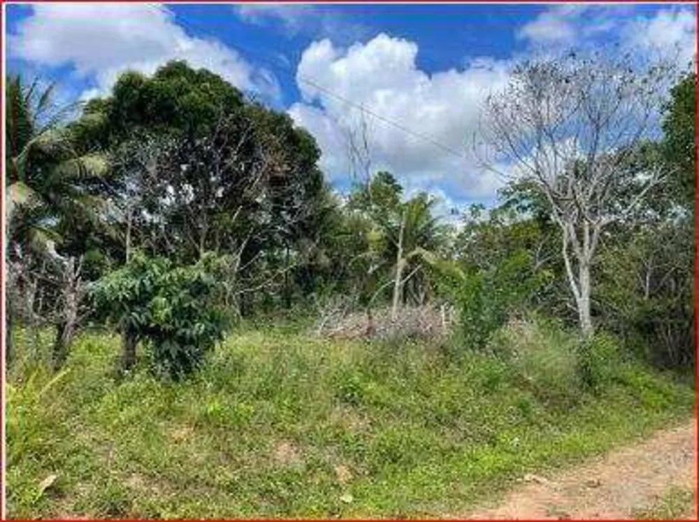 Terreno, 5000 m² - Foto 11