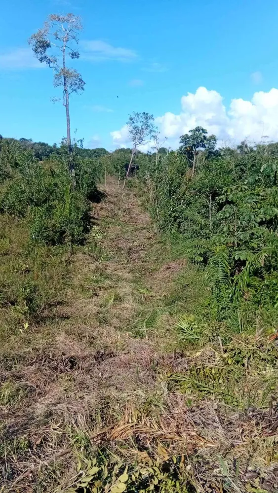 Terreno, 5000 m² - Foto 10