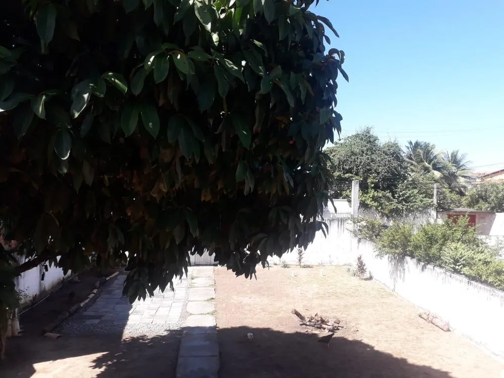 Casa, 3 quartos, 800 m² - Foto 17