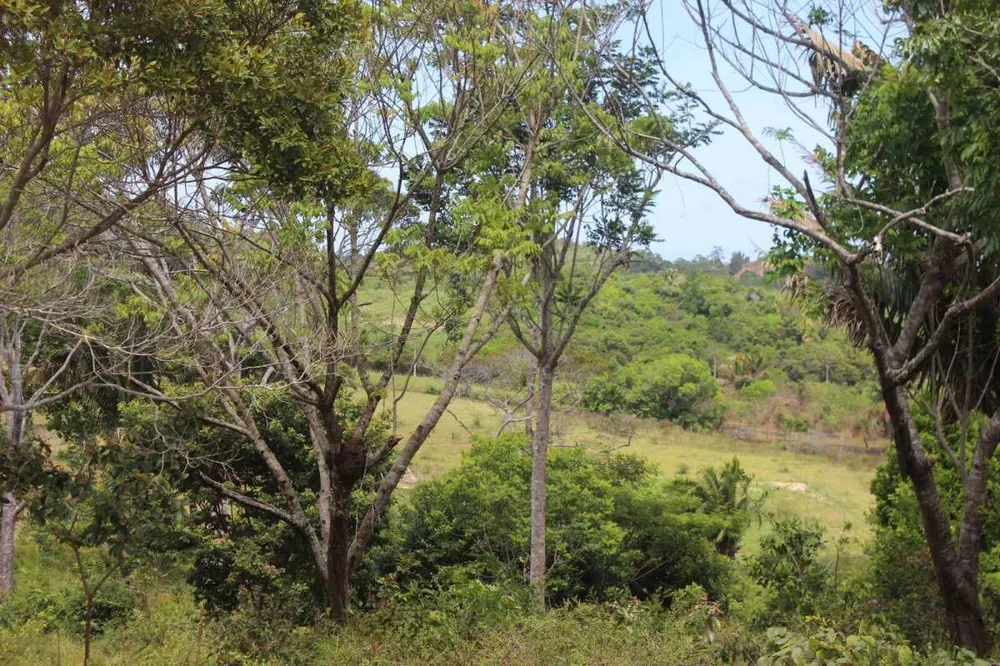 Fazenda, 2 quartos - Foto 9