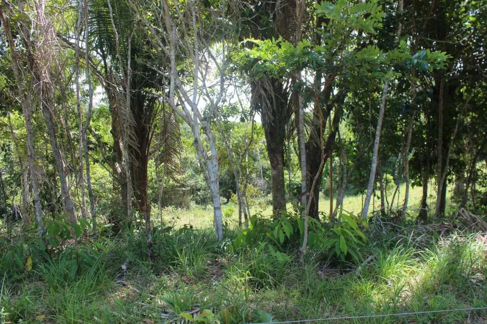 Fazenda, 2 quartos - Foto 10
