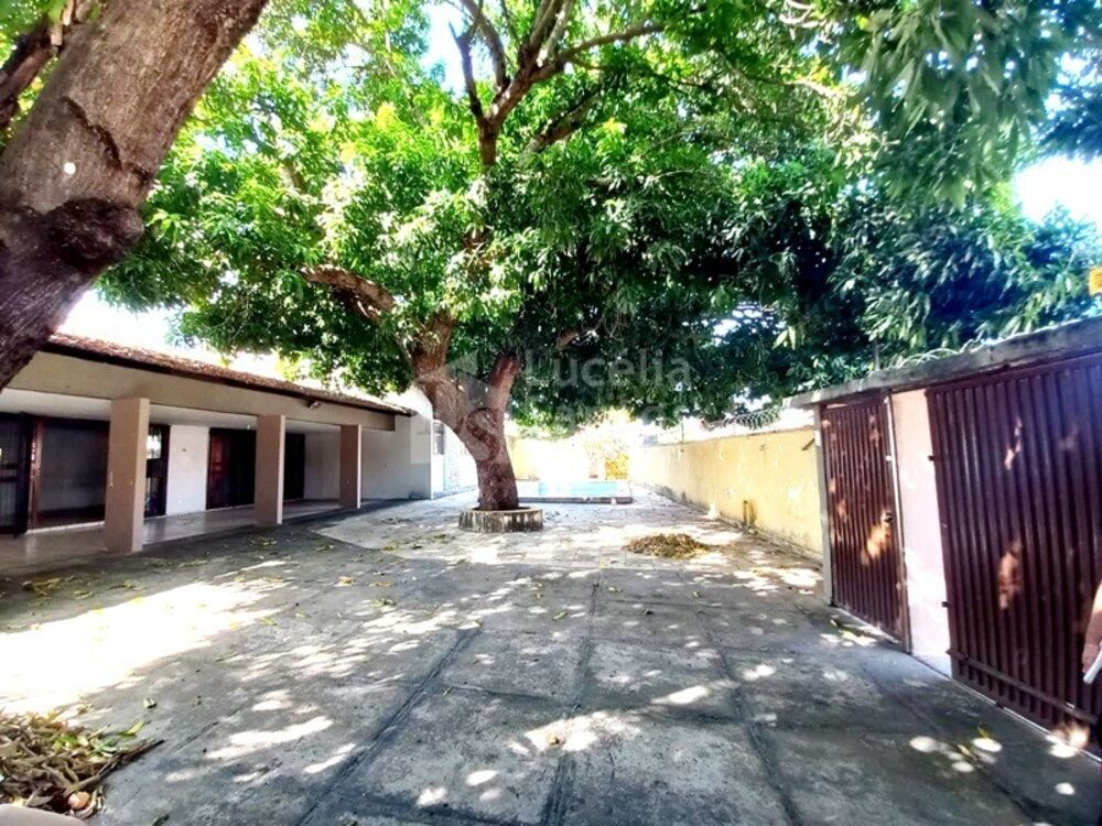 Casa, 6 quartos, 480 m² - Foto 4