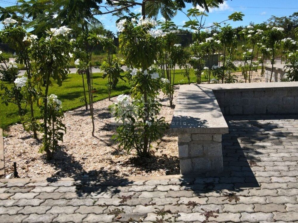 Terreno, 264 m² - Foto 4