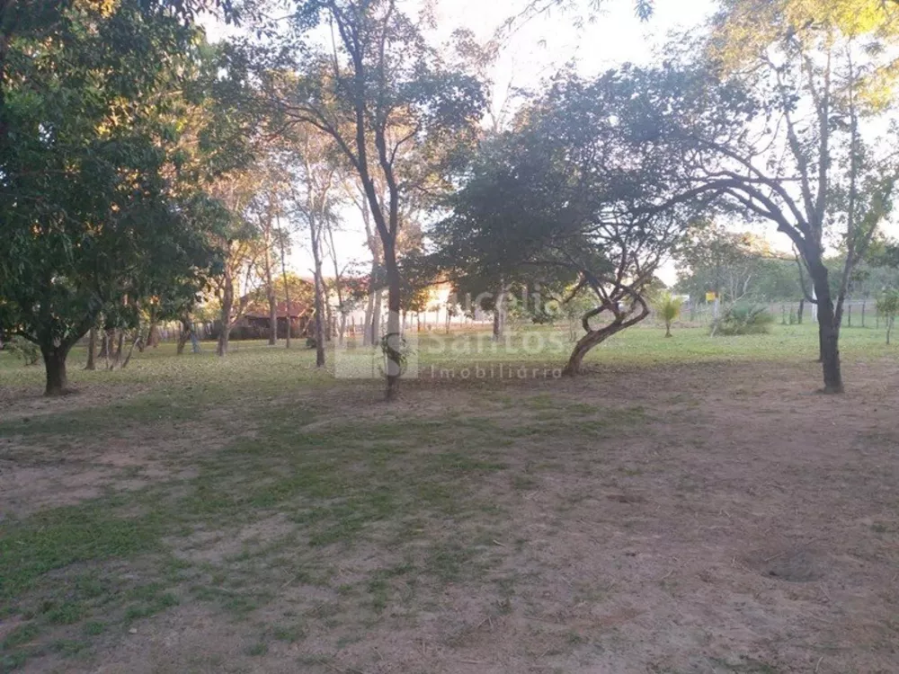 Sítio, 2 quartos, 300000 m² - Foto 4